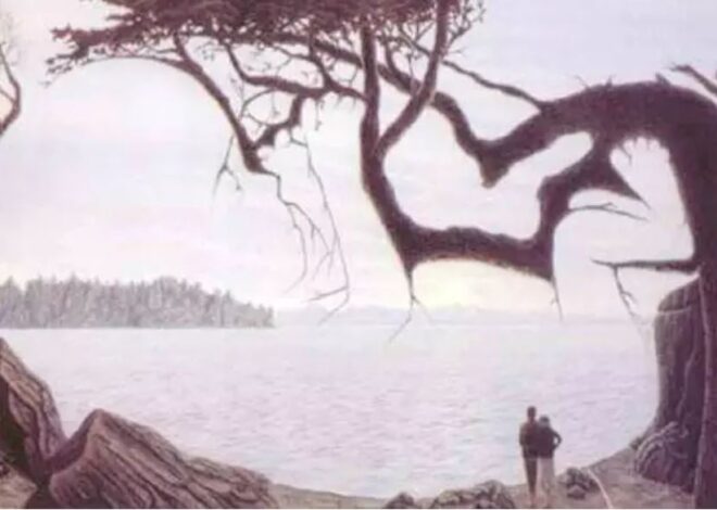 Тест: суреттен баланы көре алдыңыз ба?